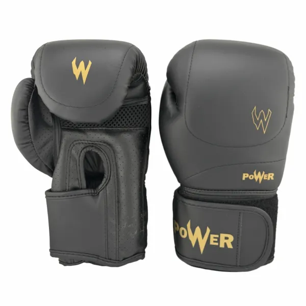 Перчатки боксерские Power 8-12oz 25P1